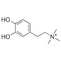coryneine