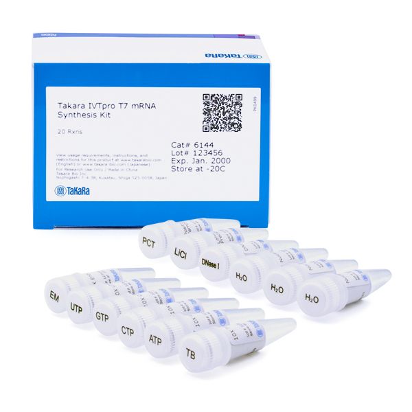 Takara 6144 IVTpro™‑T7 mRNA 体外转录试剂盒