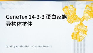 GeneTex 14-3-3 蛋白家族异构体抗体