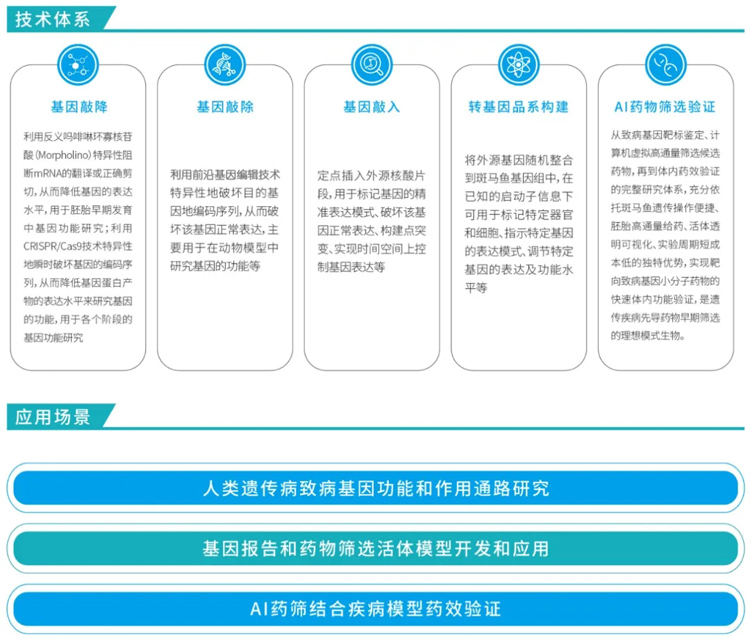 新闻图片3