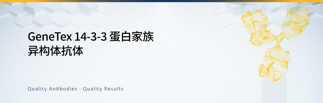 新闻图片1