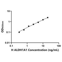 人醛脱氢酶1家族成员A1(ALDH1A1)ELISA试剂盒