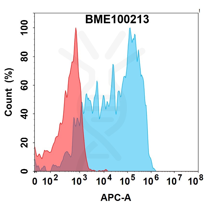 bme100213-gm-csfr-fc1.jpg