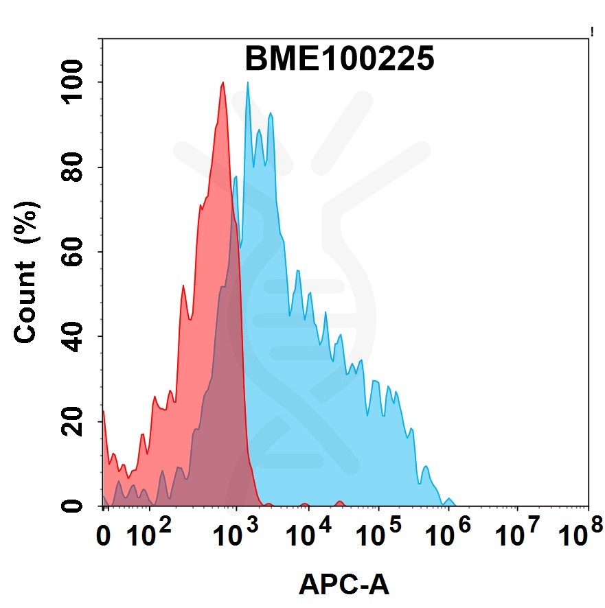 bme100225-cd79b-fc1.jpg