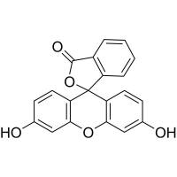 Fluorescein (Synonyms: 荧光素; Uranine)