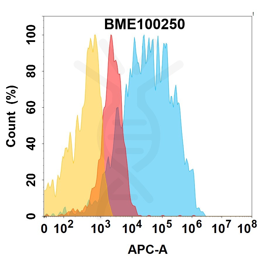 bme100250-egfr-fc1.jpg