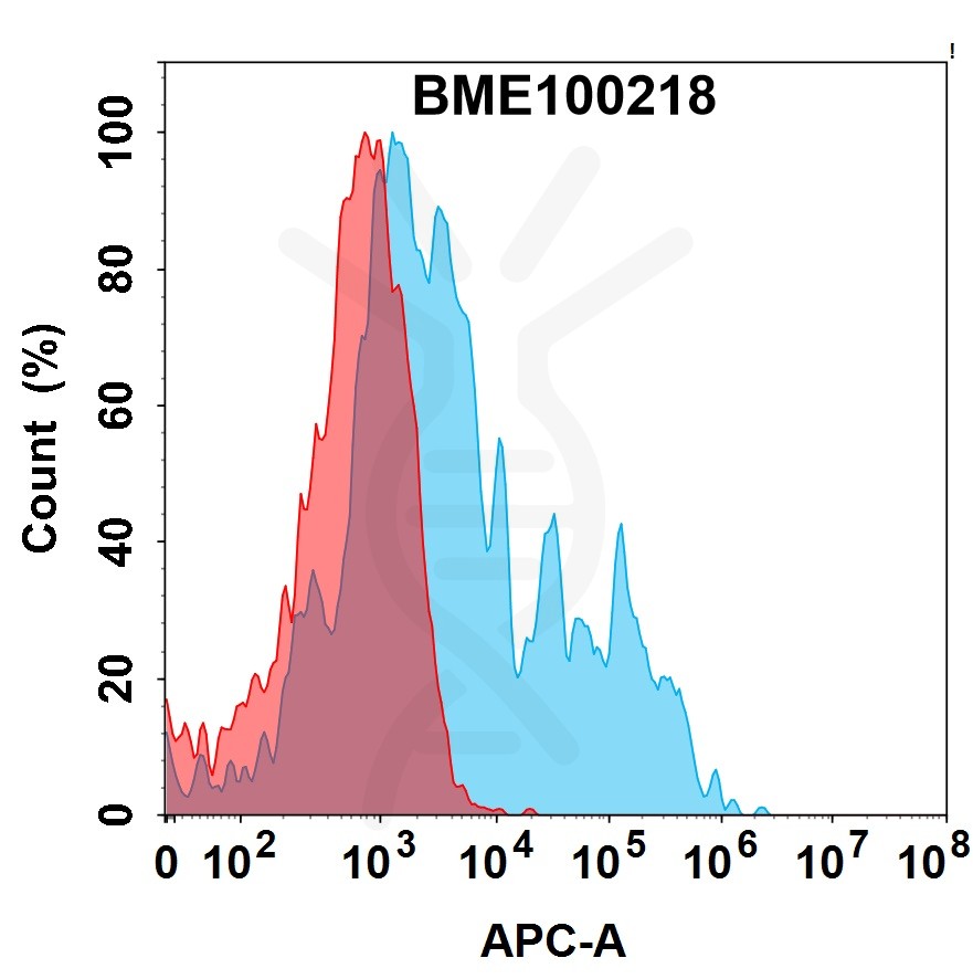 bme100218-cd73-fc1.jpg