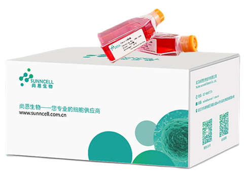 科研细胞预算优化采购指南含尚恩生物高性价比选型