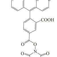 5-FAM SE(5-羧基荧光素琥珀酰亚胺酯)