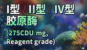 新品胶原酶！酶比活力达275CDU/mg