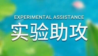 实验助攻 | WB 实验 (Western Blot) 杂带太多？原因就这几个！