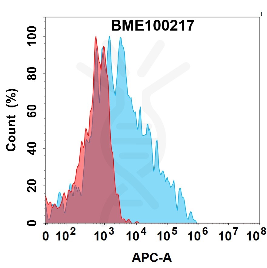 bme100217-cd73-fc1.jpg