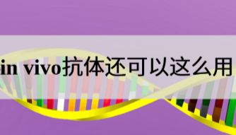 文献解读｜抗体化身导航头！免疫细胞囊泡靶向抗癌新方案