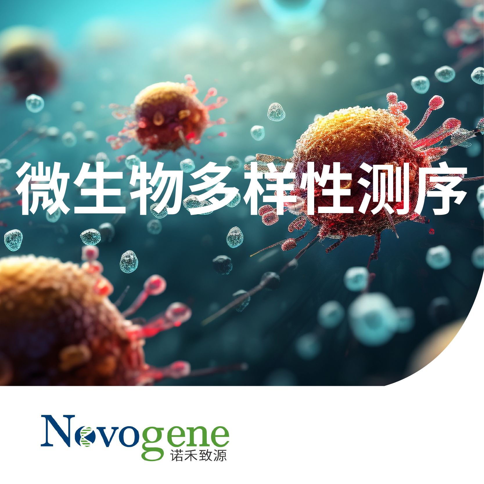 微生物多样性测序