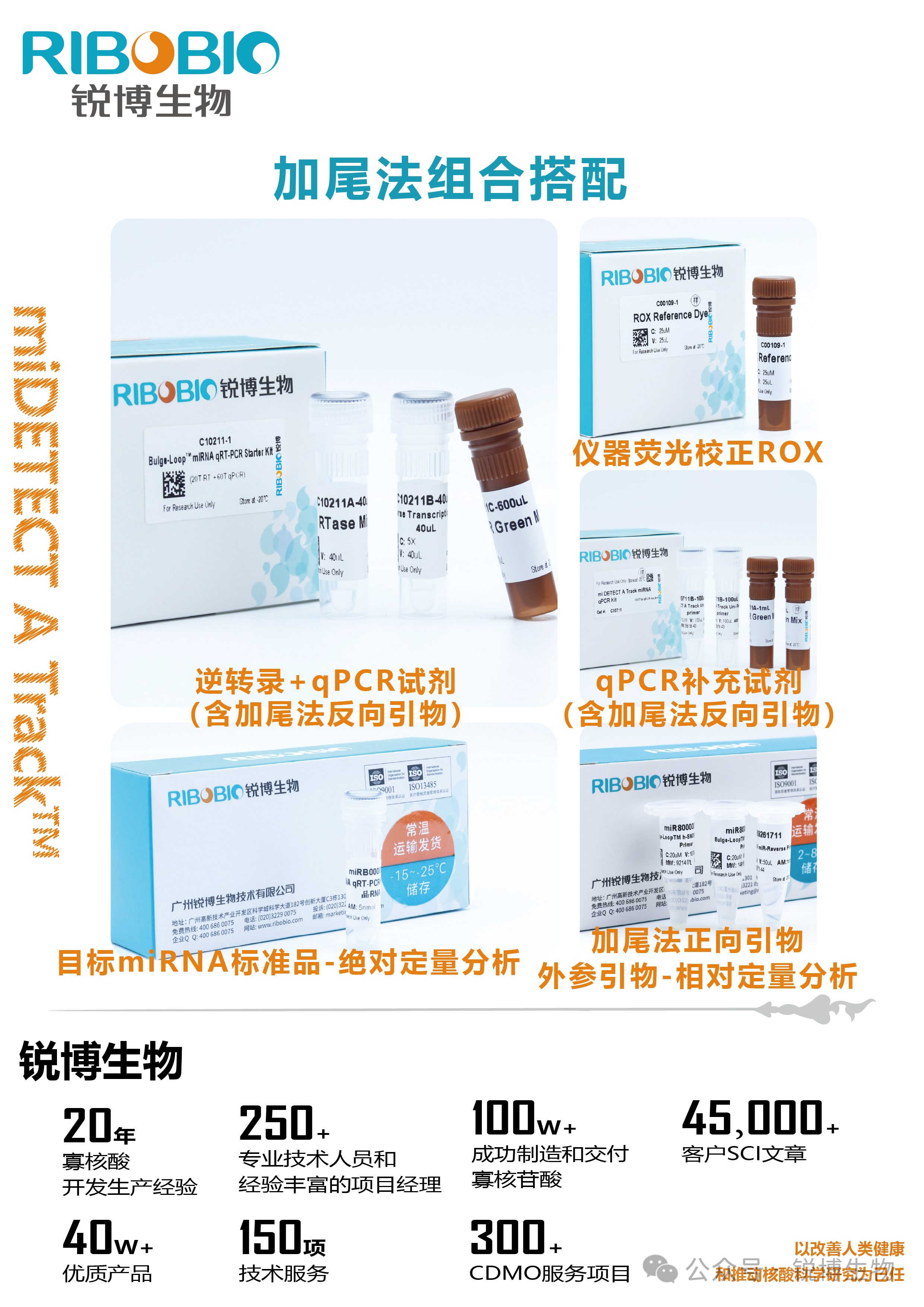 新闻图片7