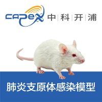 肺炎支原体小鼠感染模型