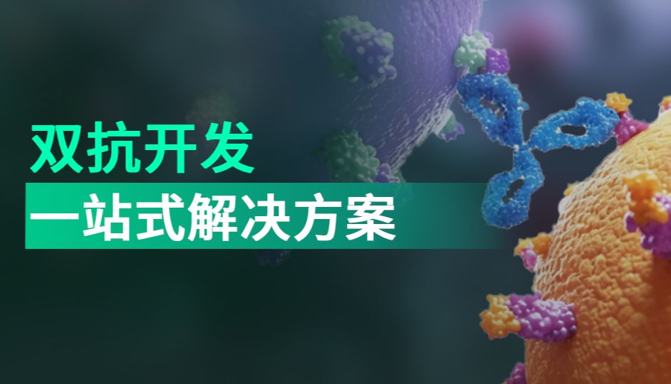 从抗体筛选到功能验证，义翘神州双抗解决方案