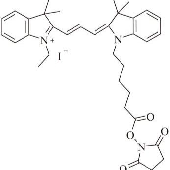 Cy3-E SE (Cy3-E 琥珀酰亚胺酯)产品图