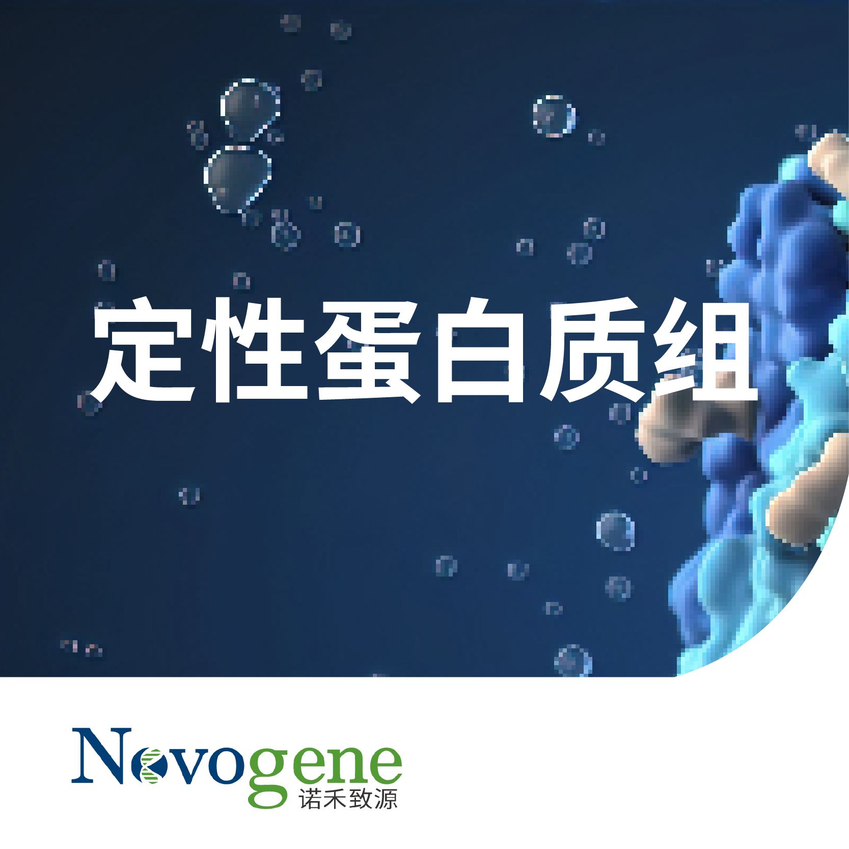 定性蛋白质组