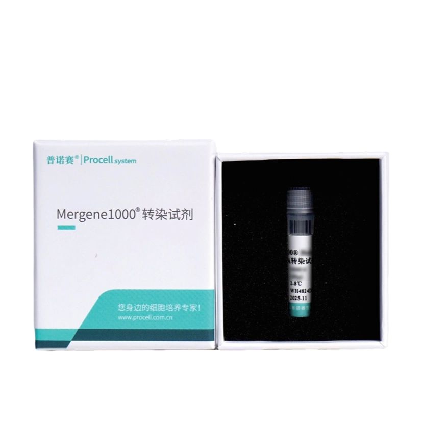 Mergene1000® THP-1细胞专用siRNA转染试剂