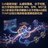 Cell突破！从虚拟筛选、分子对接、动力学模拟到HDX-MS、SPR、MST及DLS多维技术联手解锁小分子药物A6调控TFAP2β相分离抑制食管鳞癌新机制