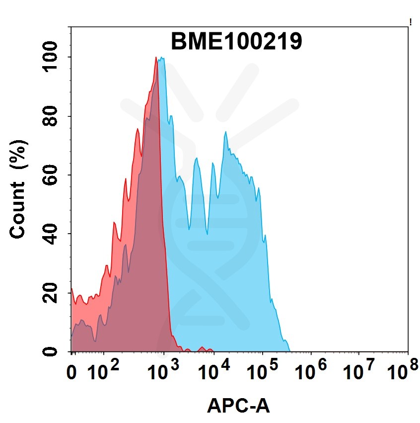 bme100219-cd39-fc1.jpg