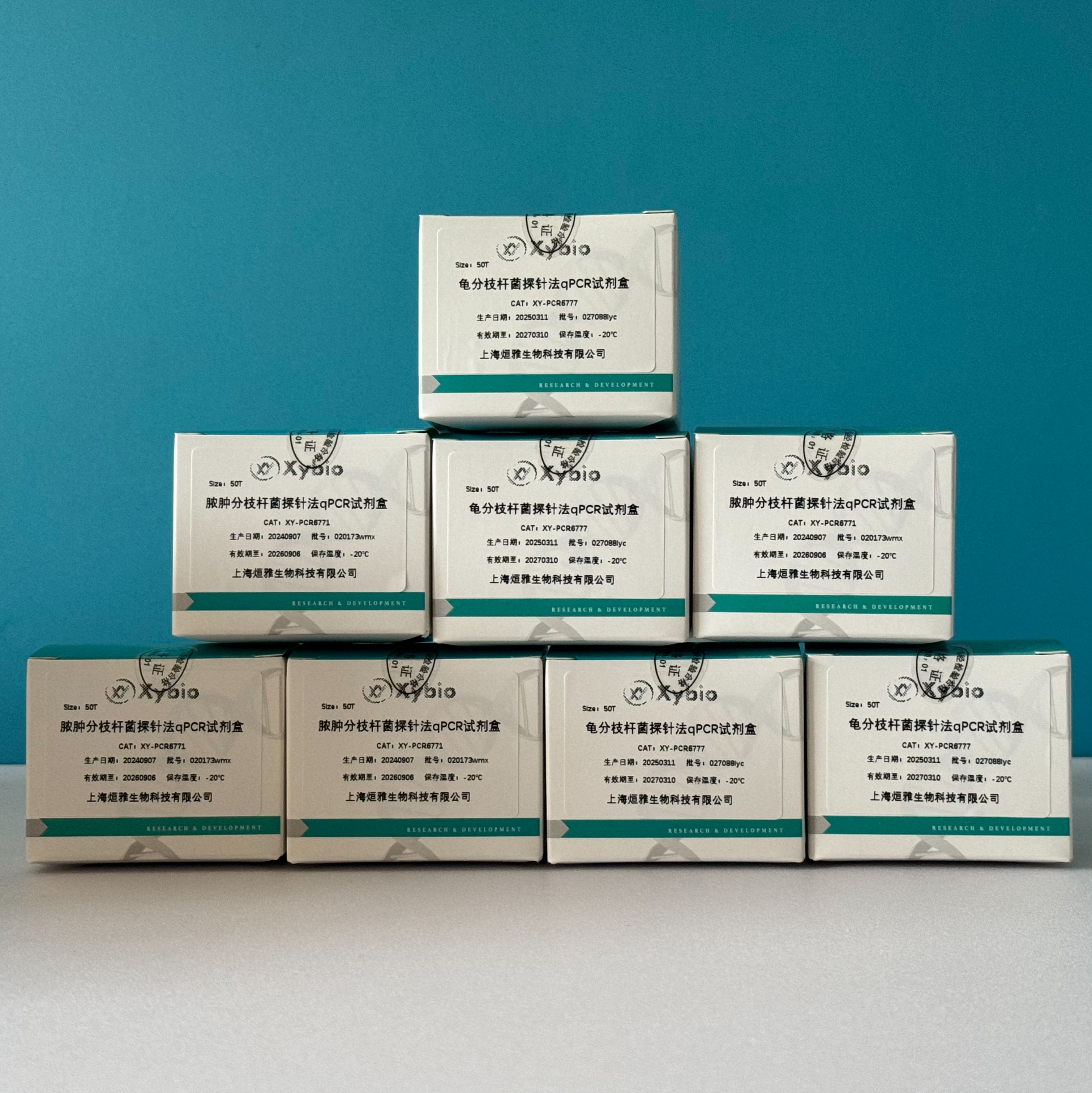 假结核耶氏菌(Yersinia pseudotuberculosis)核酸检测试剂盒(荧光PCR法)产品图
