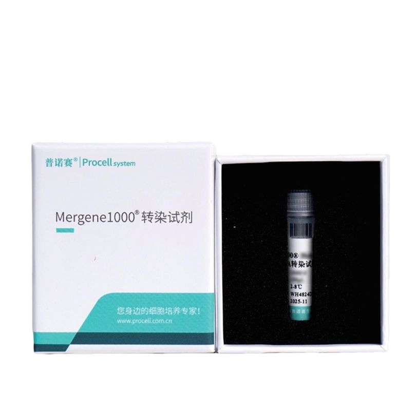 Mergene1000® MCF7 [MCF-7]细胞专用siRNA转染试剂