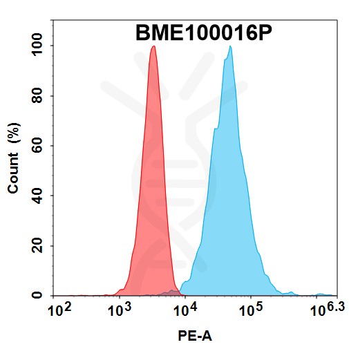 bme100016p-bcma-fc1.jpg