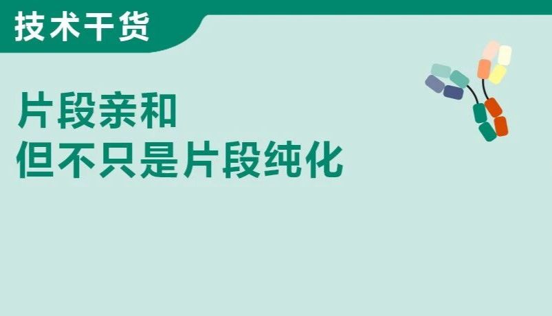 MabSelect VL之于双抗纯化的机理浅析