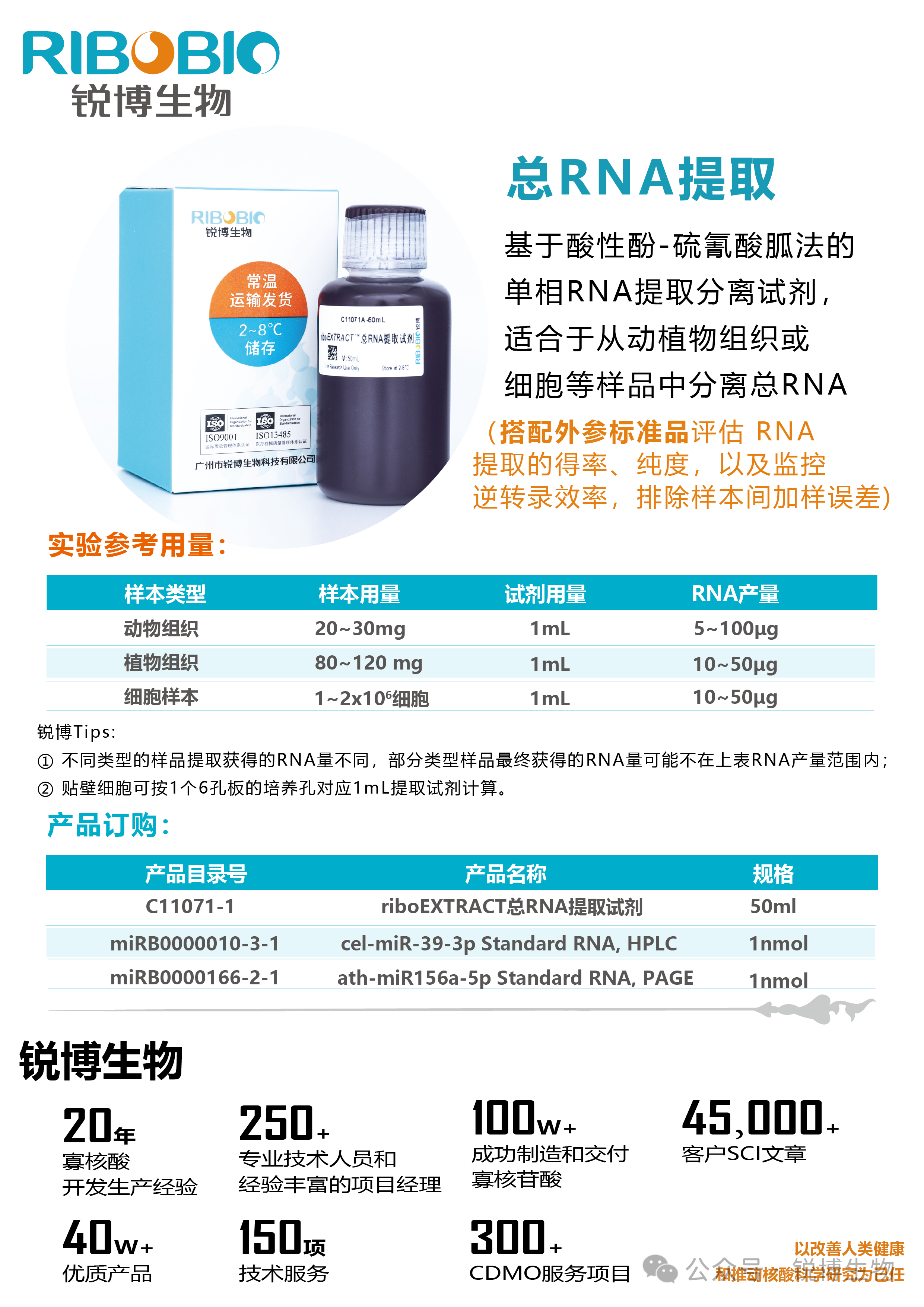 新闻图片3