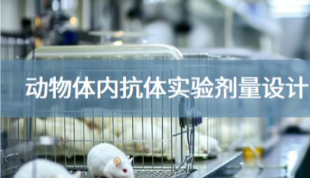 五大主流策略｜抗体动物实验剂量设计深度解读