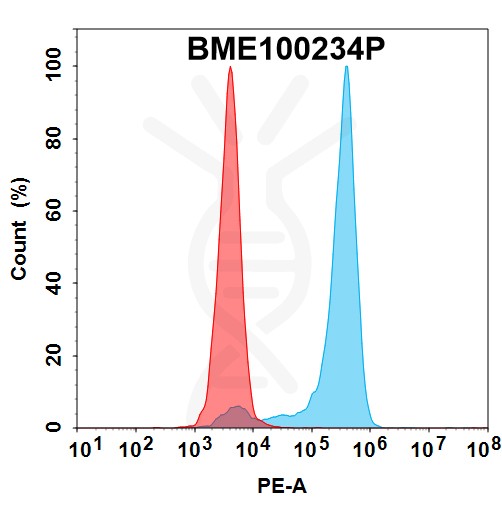 bme100234p-cdh6-fc1.jpg
