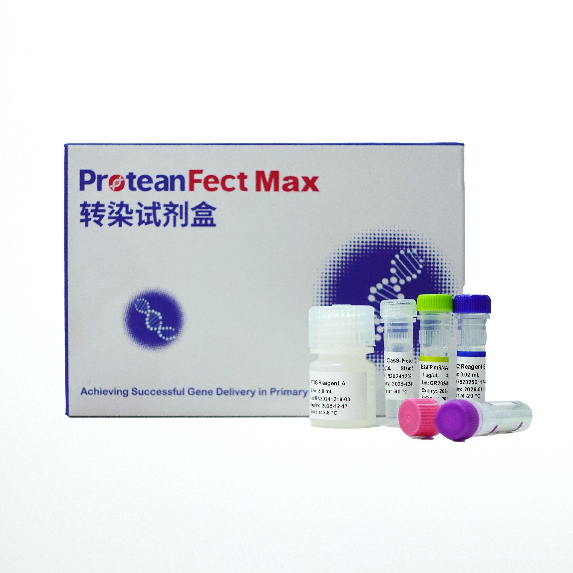 ProteanFect™ CRISPRMax Ultra小鼠原代免疫细胞转染试剂盒
