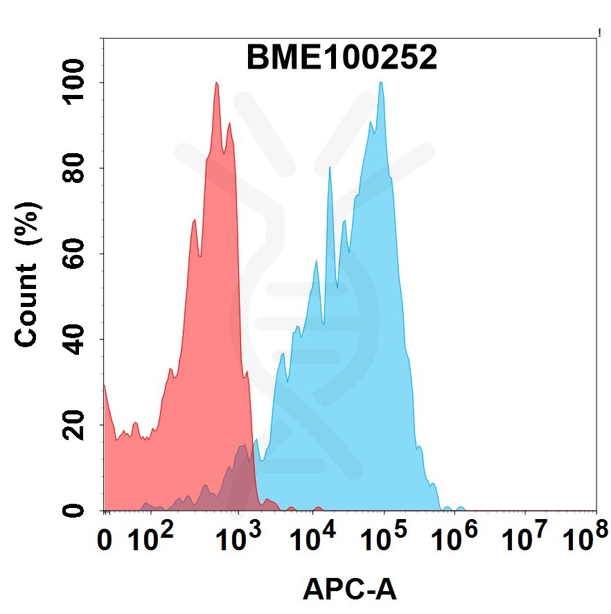 bme100252-egfr-fc1.jpg