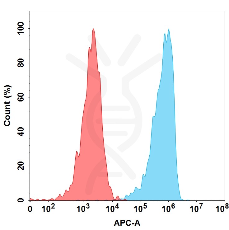 BME100036-BM52-FAC-TransfectedWithICAM1-Fig.2.jpg