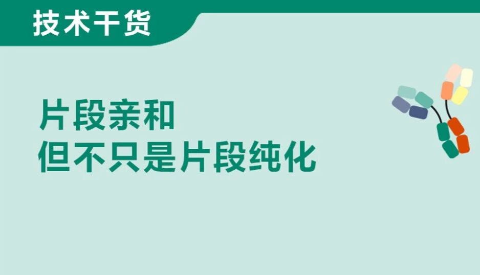 文献速递丨MabSelect VH3 在复杂抗体中的案例集锦