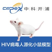 HIV人源化小鼠模型（NSG-huPBMC）