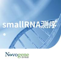 smallRNA测序 