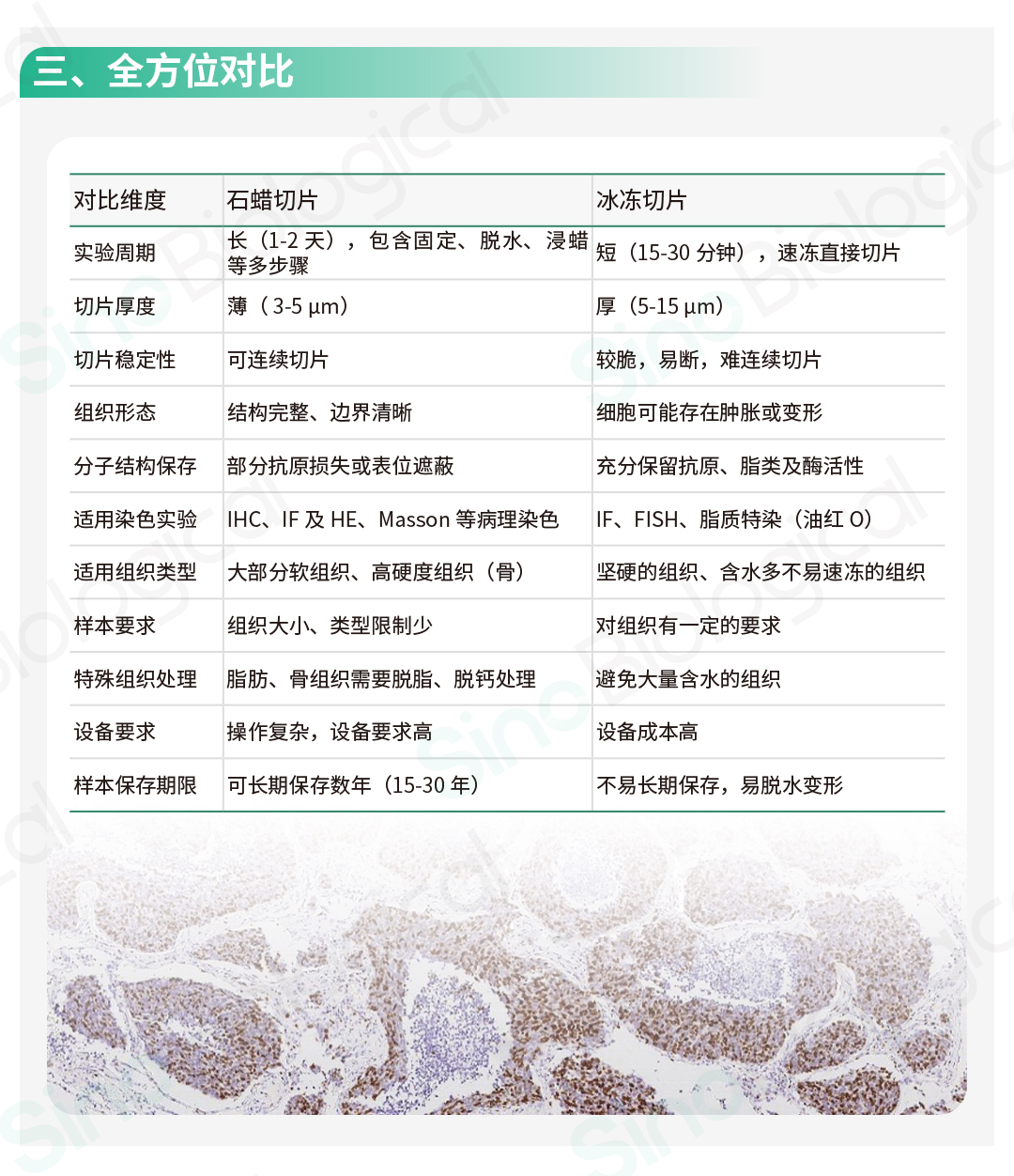 新闻图片2