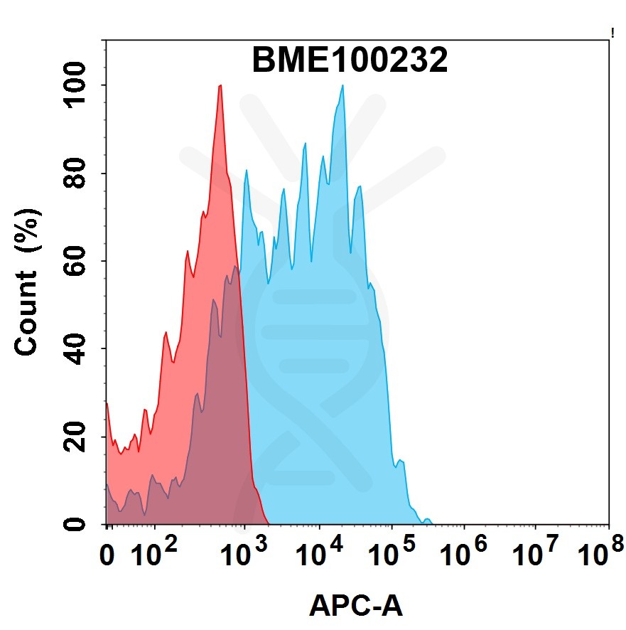 bme100232-cdh6-fc1.jpg
