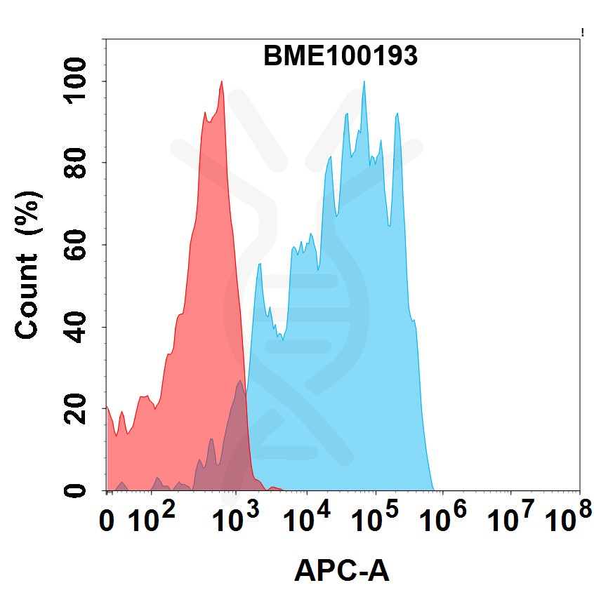 bme100193-gprc5d-fc1.jpg