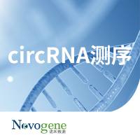 circRNA测序