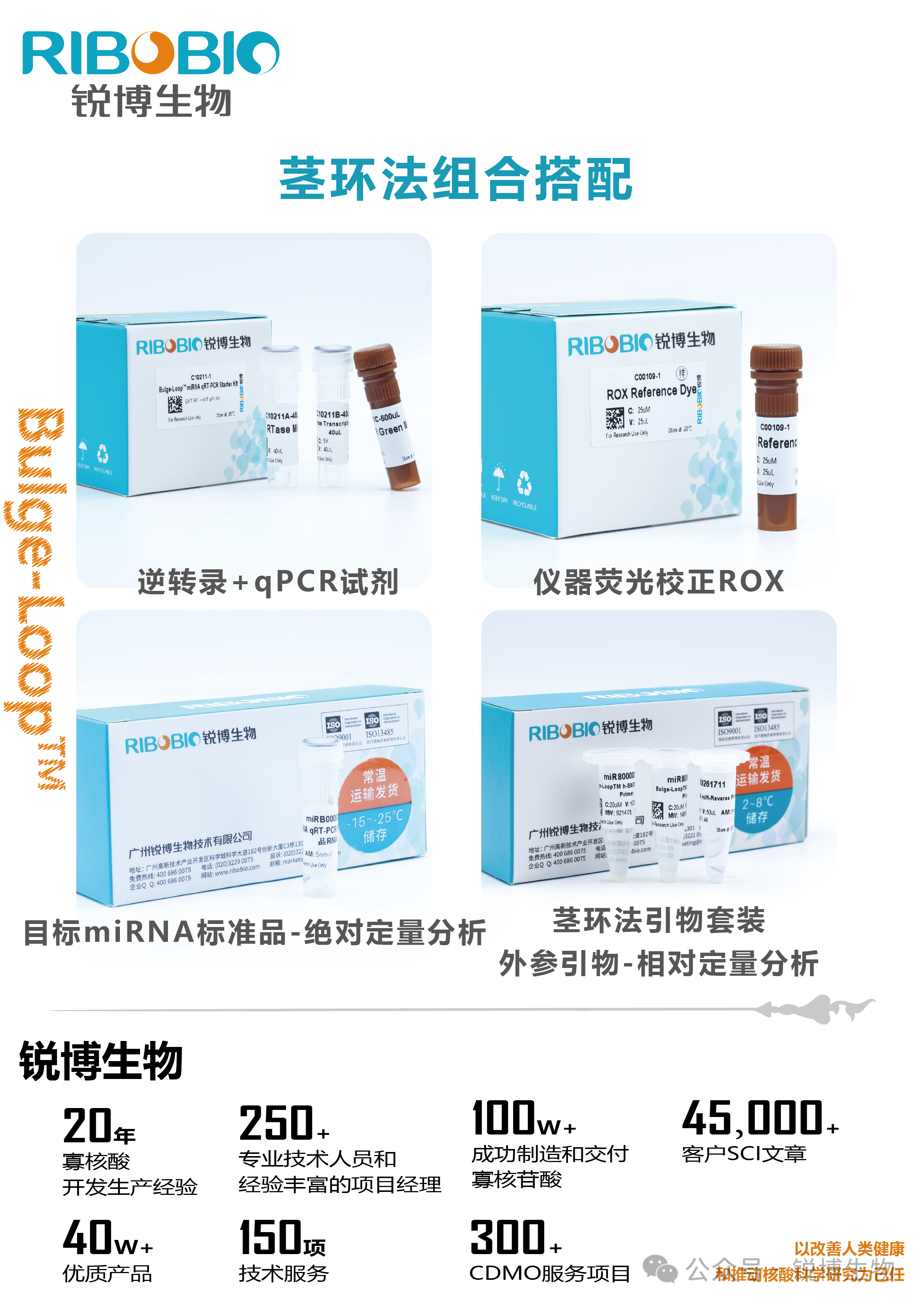 新闻图片5