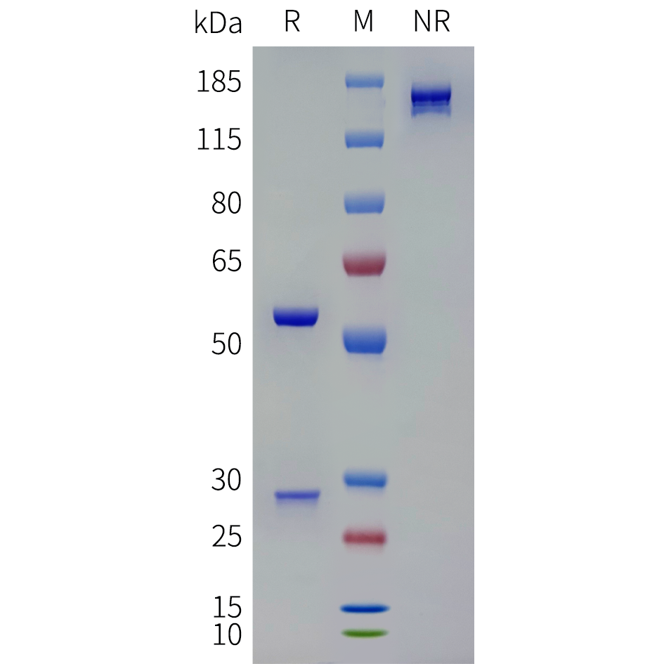 bme100256-il4-sp1.png