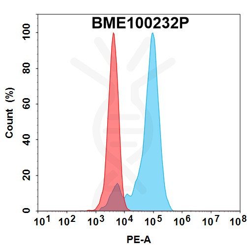 bme100232p-cdh6-fc1.jpg