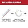 Knock-down稳转细胞系构建