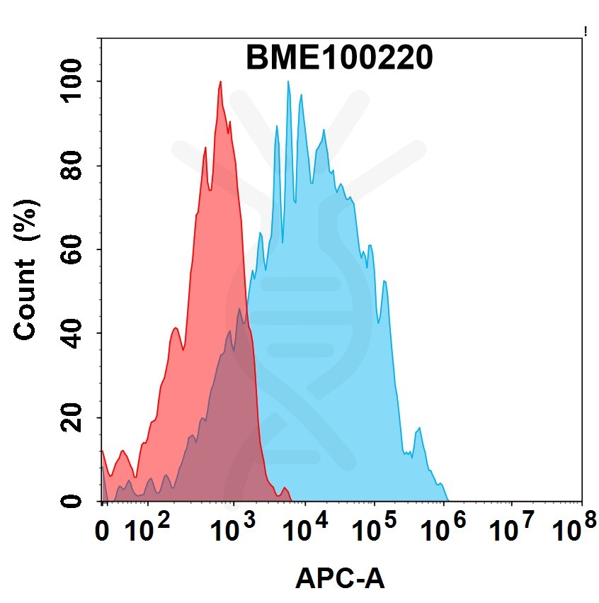 bme100220-fgfr3-fc1.jpg