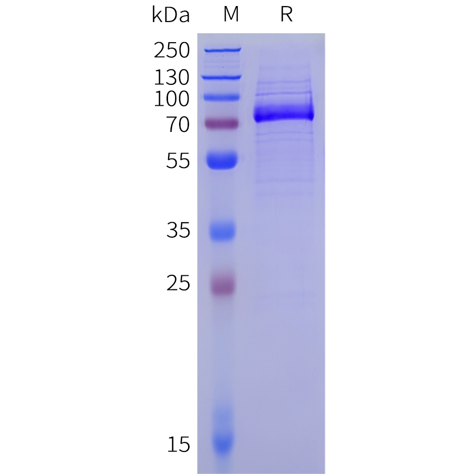 pme-c100081b-tfrc-sp1.png
