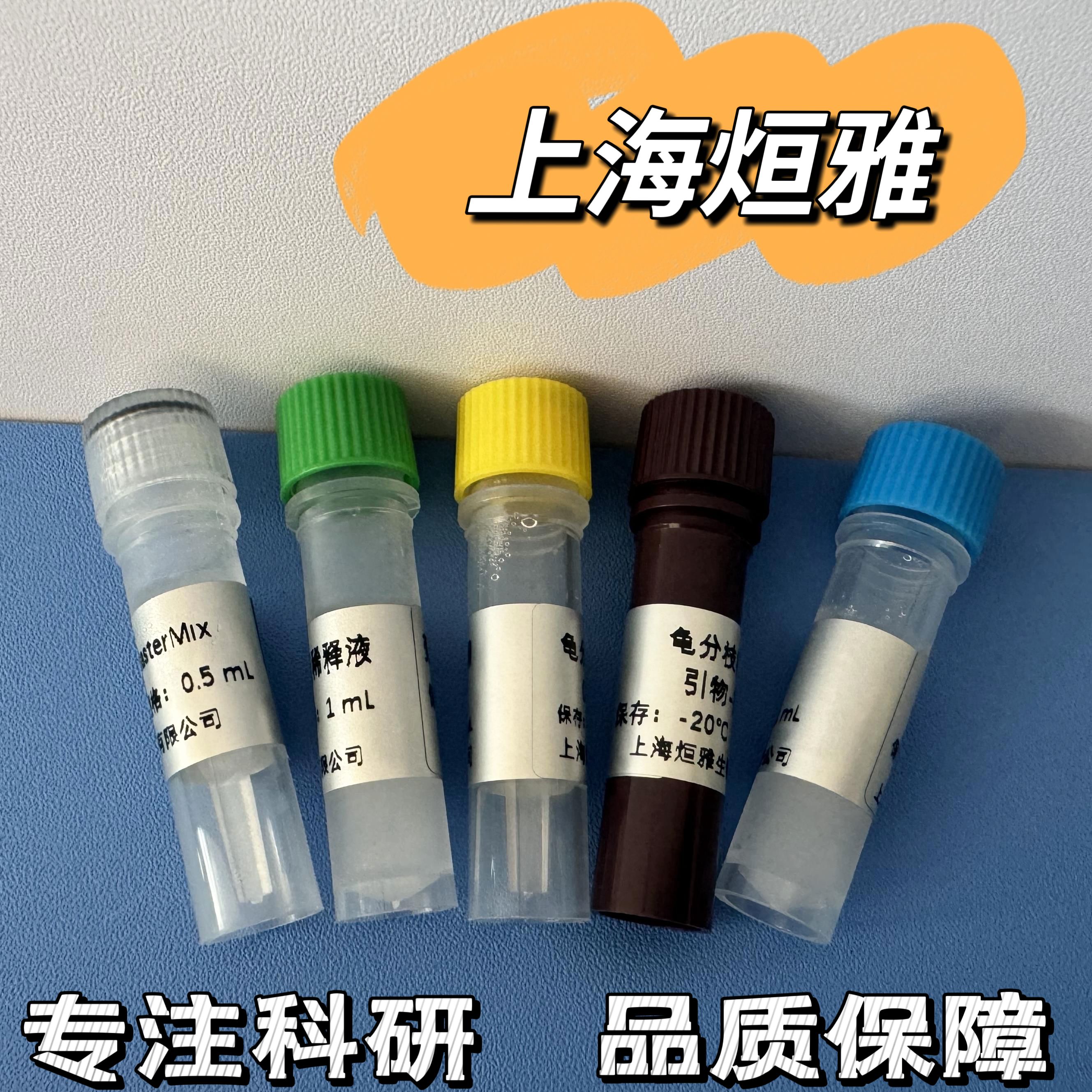 衣原体通用型(CP)核酸检测试剂盒(荧光PCR法)产品图